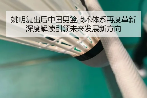 姚明复出后中国男篮战术体系再度革新深度解读引领未来发展新方向