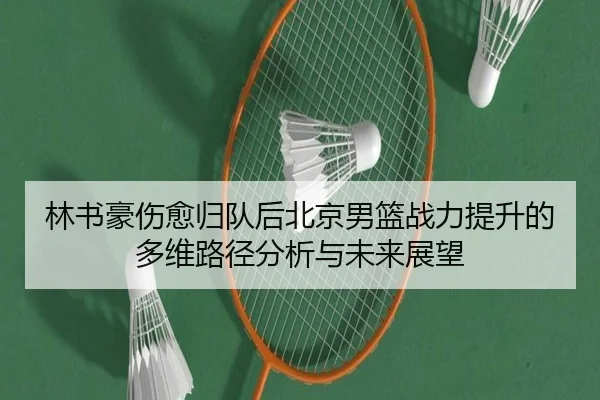 林书豪伤愈归队后北京男篮战力提升的多维路径分析与未来展望