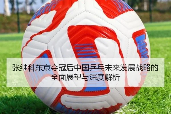 张继科东京夺冠后中国乒乓未来发展战略的全面展望与深度解析