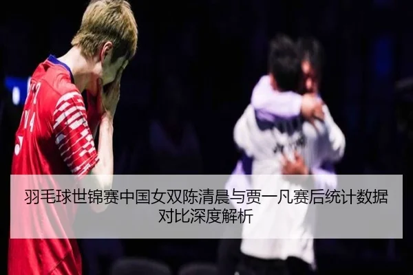 羽毛球世锦赛中国女双陈清晨与贾一凡赛后统计数据对比深度解析